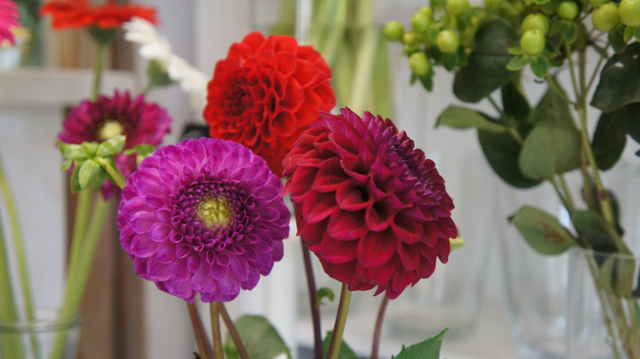 Olivers Blumenmanufaktur - Fleurop-Blumensträuße